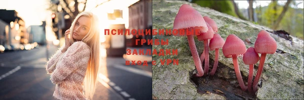 тгк Волоколамск